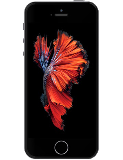 iPhone 5 SE